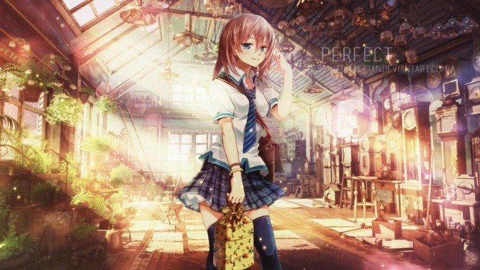 只能选一个，你选谁？